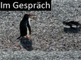 Im Gespräch