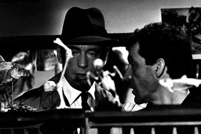 Inspektor Graziani (Yves Montand) sucht Rivolani (Paul Pave) zu Hause auf. Dieser war in der Mordnacht am Tatort und hat wohl eine Vorliebe für tote Wesen ... Bild: Sender / Century Fox