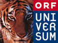 Universum