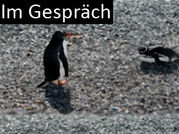 Im Gespräch