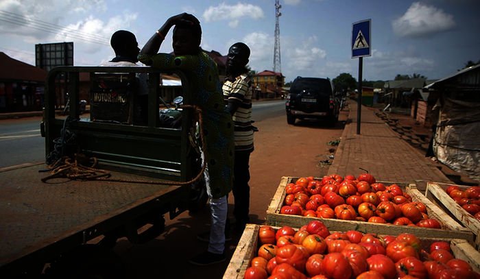 Tomaten sind fester Bestandteil der ghanaischen Küche. Der regionale Tomatenmarkt bricht unter dem Druck billiger Importe aus China und Italien regelrecht zusammen. Bild: Sender / ZDF / Little Big Story