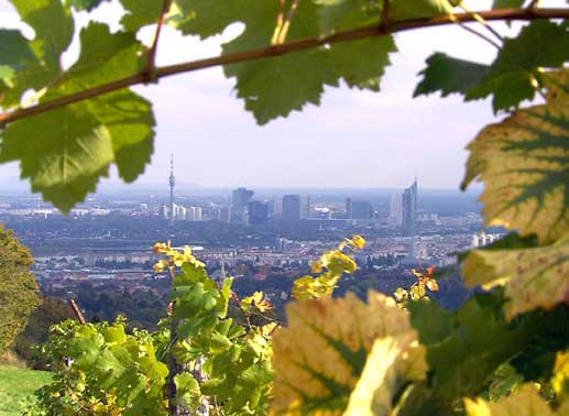 Blick auf Wien vom Cobenzl. Bild: Sender / Georg Riha