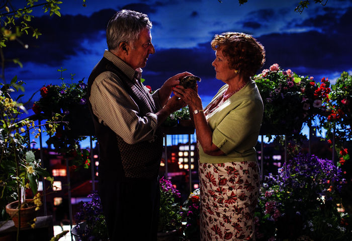 Der introvertierte Junggeselle Mr. Hoppy (Dustin Hoffman) verzehrt sich in stiller Leidenschaft für seine umtriebige Nachbarin Miss Silver (Judi Dench). Bild: Sender