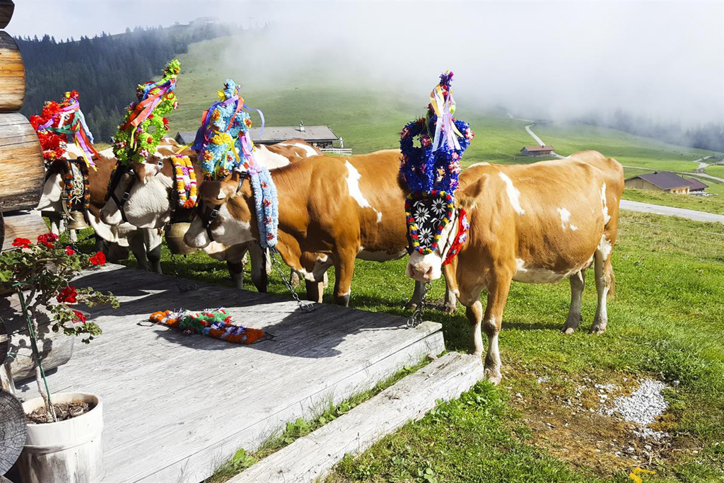 Heimatleuchten - Mariazell. Bild: Sender / Picturedesk / Gerhard Wild