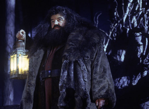 Welches Spiel spielt Robbie Coltrane? Bild: Sender / © Warner Bros. Ent. 
Harry Potter Publishing Rights © J.K.R.