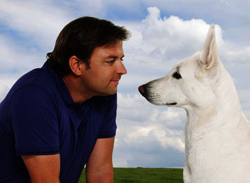 Neue Folgen aus Staffel 4: Der Hundeprofi – Rütters Team