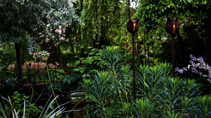 Garten und lecker: „Staudenqueen“ Hildegard Rave aus Velen Ramsdorf und ihr Garten. Bild: Sender / WDR / Melanie Grande