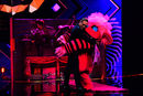 Staffel 9: The Masked Singer – mit AD und UT
