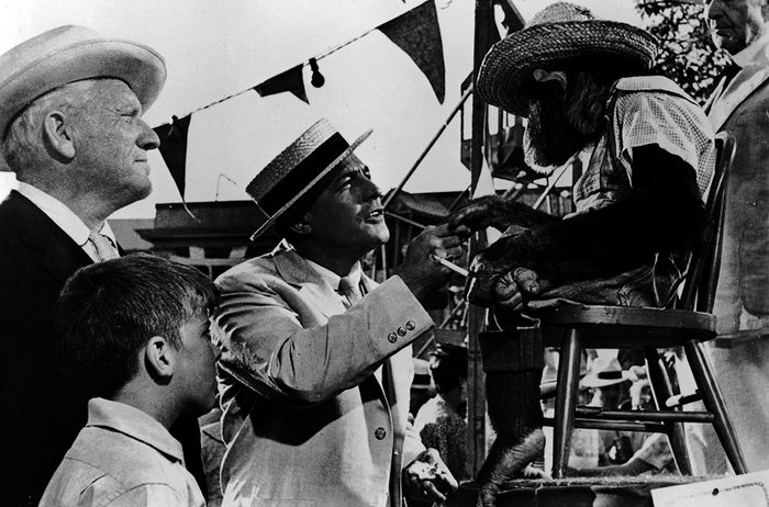 Henry Drummond (Spencer Tracy) und E.K. Hornbeck (Gene Kelly) sind von Darwins Lehre überzeugt. Bild: Sender / 1960 Metro-Goldwyn-Mayer Studios Inc. / All rights reserved