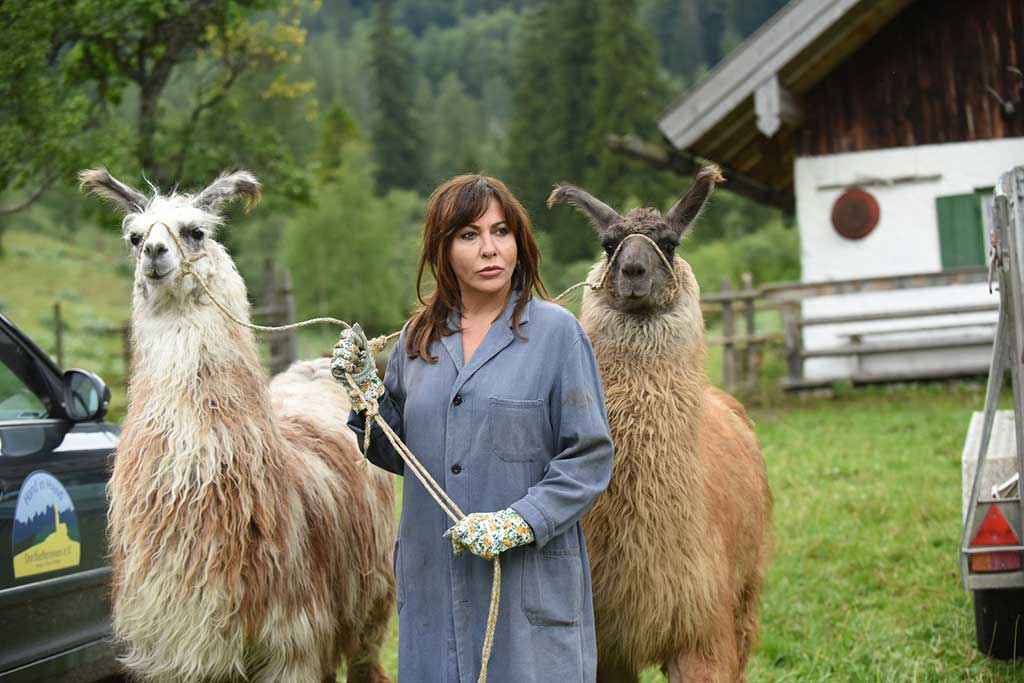 Neue Folge Ende 2021 und ZDFmediathek: „Frühling“-Reihe