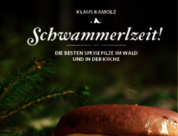 Schwammerlzeit!