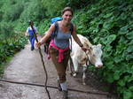Sarah Wiener tourt wieder durch die Alpen
