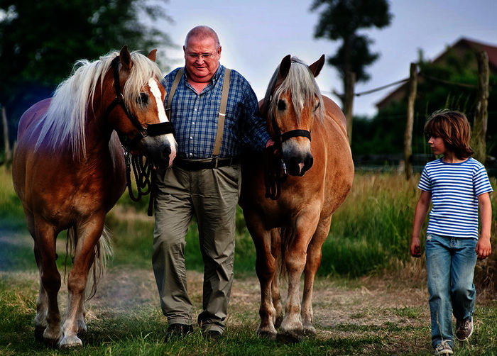 Krauses Hoffnung in der Mediathek Sehenswertes im TV TVButler.at