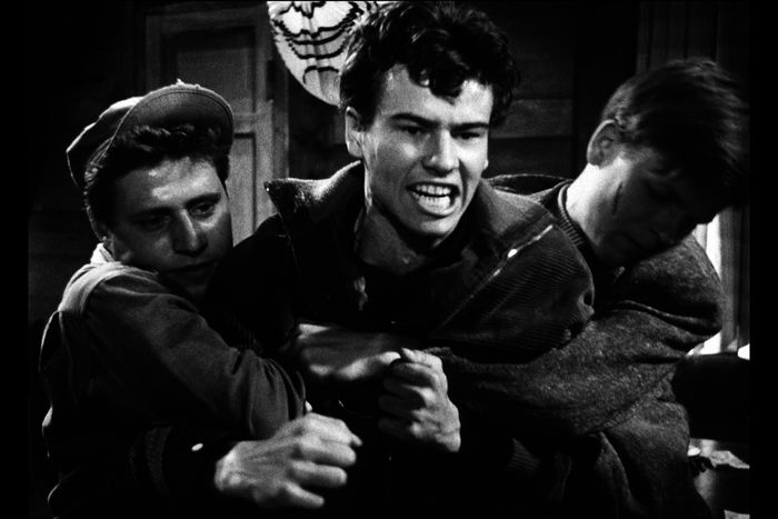 Die Halbstarken Filmklassiker im TV TVButler.at