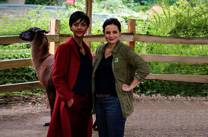 Dr. Susanne Mertens (Elisabeth Lanz) und die neue ehrgeizige Zoodirektorin Dr. Amal Bekele (Dennenesch Zoudé). Bild: Sender / ARD / Steffen Junghans,