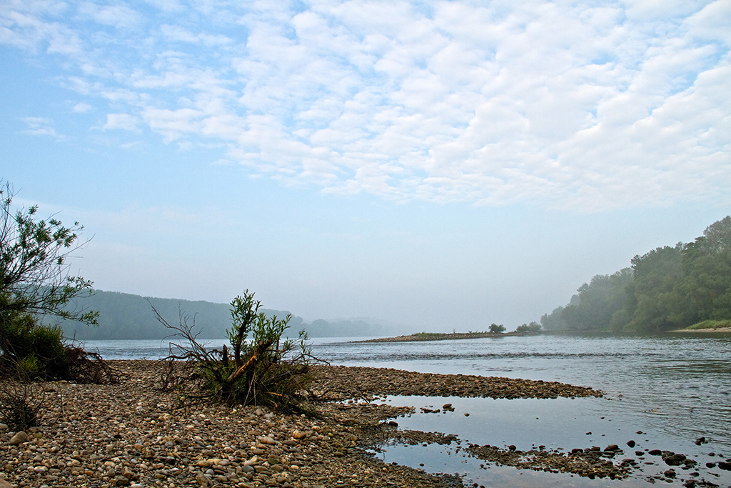 Donau-Altarm. Bild: Sender / ORF / Interspot / Franz Hafner