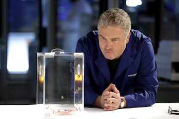 Finale Staffel 2: Das Sequel CSI: Vegas