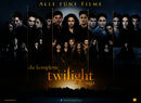 Twilight Saga – die Reihe