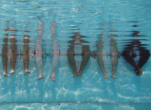 Schwimmen als Therapie? Bild: Thimfilm