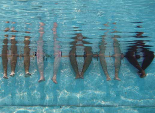 Schwimmen als Therapie? Bild: Thimfilm
