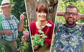 Heute! Wann laufen Gartensendungen im TV?