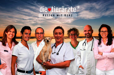 Die Tierärzte – Retter mit Herz