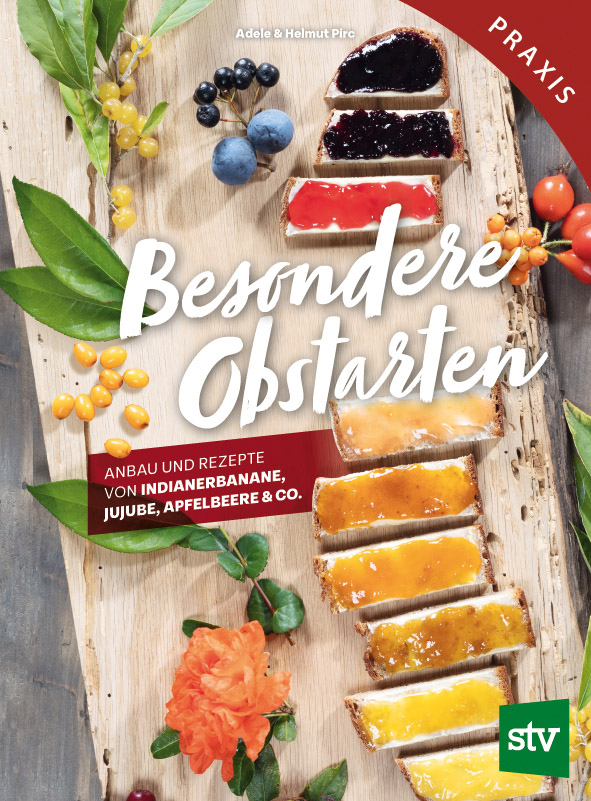 Besondere Obstarten: Indianerbanane, Jujube, Apfelbeere & Co. Der Stocker-Verlag aus der liebenswerten Steiermark mit Sitz in Graz bringt über 40 Obst-Arten. Bild: Verlag / Adele & Helmut Pirc