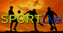 Live im TV: DIE Sport-Highlights 2022