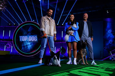 Promi-Special zum Abschluss von Staffel 2: Top Dog Germany