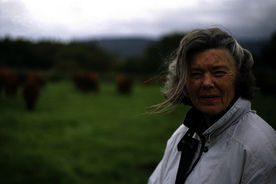 NEWS von Rosamunde Pilcher – die Filme im TV