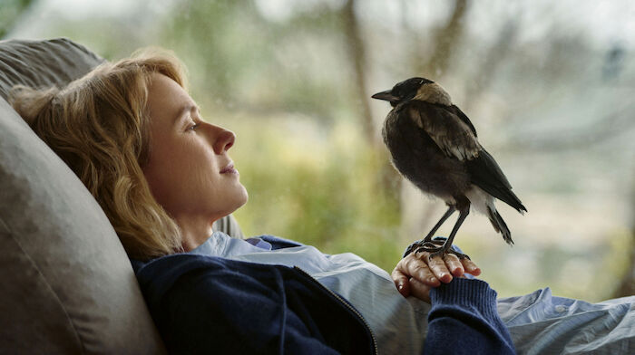 Beflügelt - Ein Vogel namens Penguin Bloom: Penguin ist für die dreifache Mutter Sam (Naomi Watts) ein neues Familienmitglied. Bild: Sender / ARD Degeto / Leonine Studio
