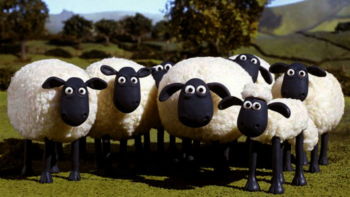 Shaun mit seiner Herde. Bild: ORF/Bavaria